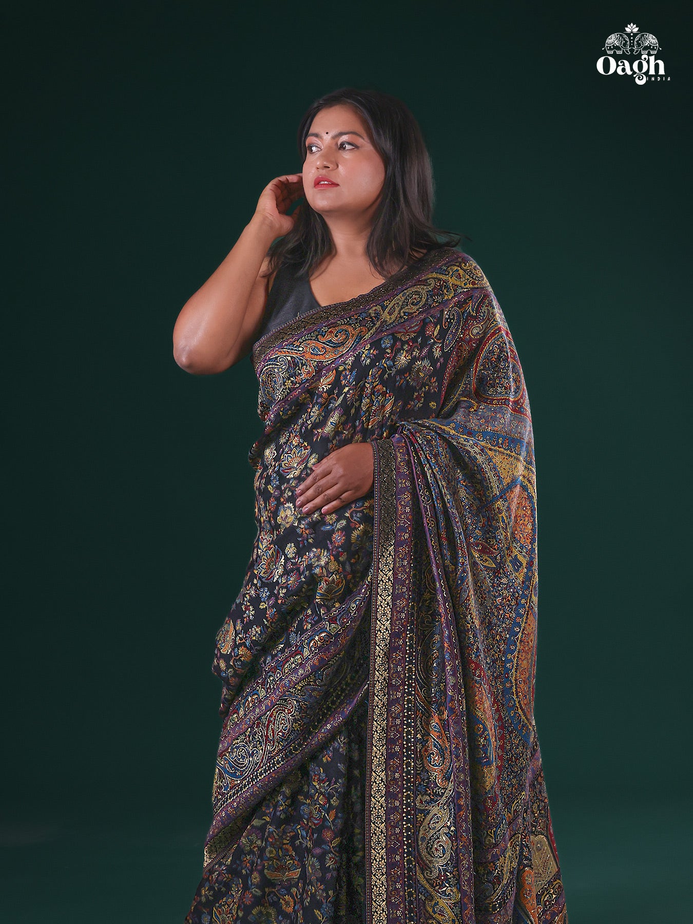 Shahnoor : Authentic Kashmiri Saree