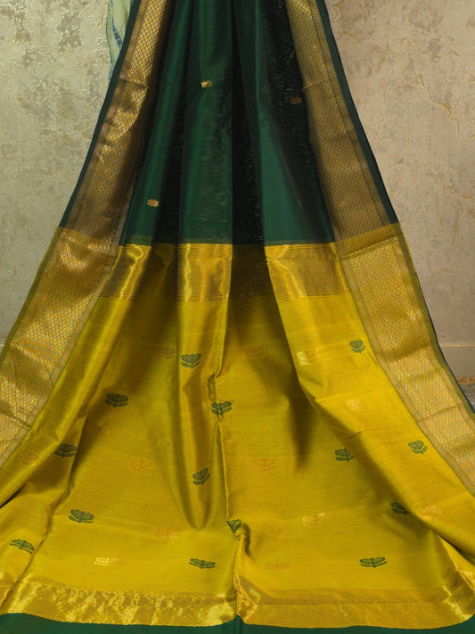 Navika - Pure Silk Cotton Saree