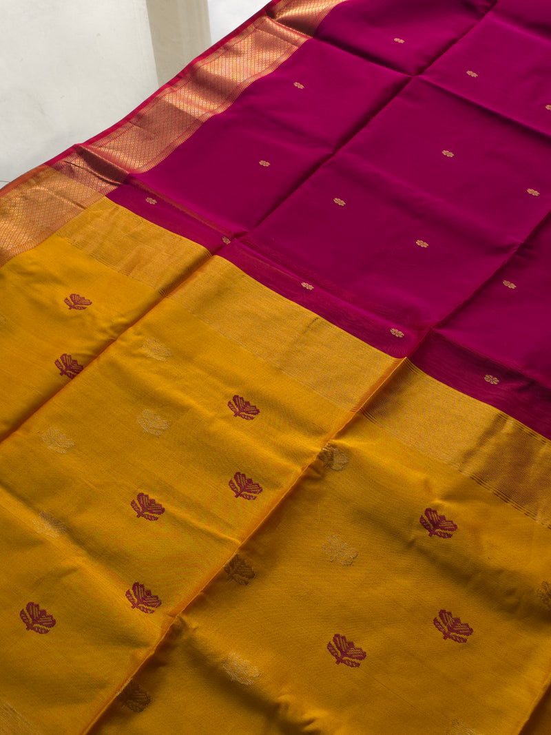 Tarangini - Pure Silk Cotton Saree