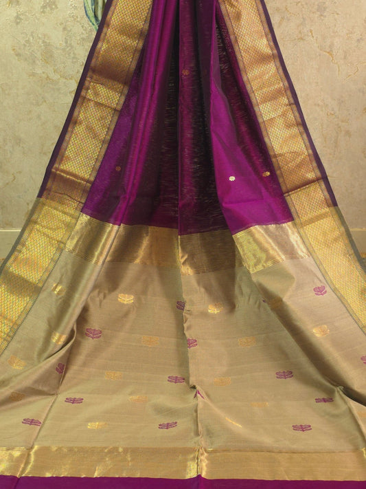 Sukumari - Pure Silk Cotton Saree