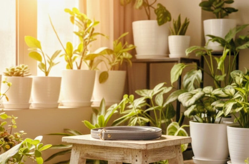 The Malé Travel Bag - Grey | Embroidered Velvet Floral Travel Bag