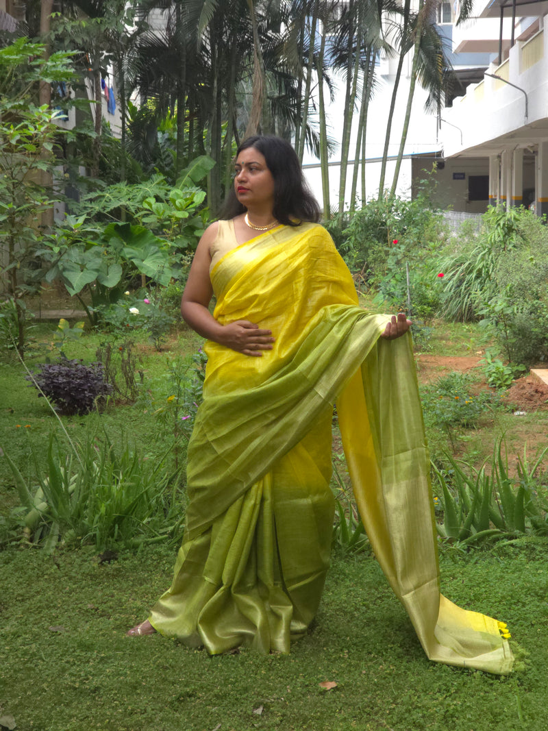 Vrittika - Authentic Bhagalpur Linen Saree