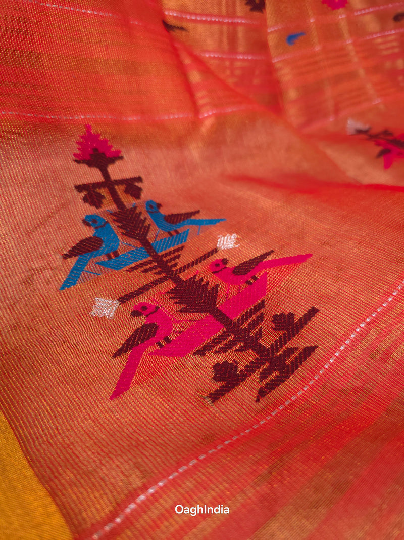 Narangi Narayani |  Handloom Cotton Saree with Muniya Zari & Tissue Pallu