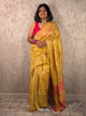 Tuth : Pure Silk Handloom Saree (Silk Mark)