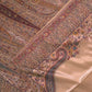 Royal Champagne : Kashmiri Heritage Saree