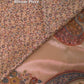 Royal Champagne : Kashmiri Heritage Saree