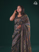 Shahnoor : Authentic Kashmiri Saree