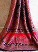 Dilbaro : Authentic Kashmiri Saree