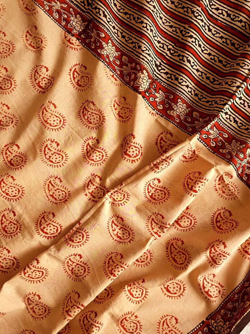 Gul-e-bahar : Bagru Handblocked Pure Cotton Saree