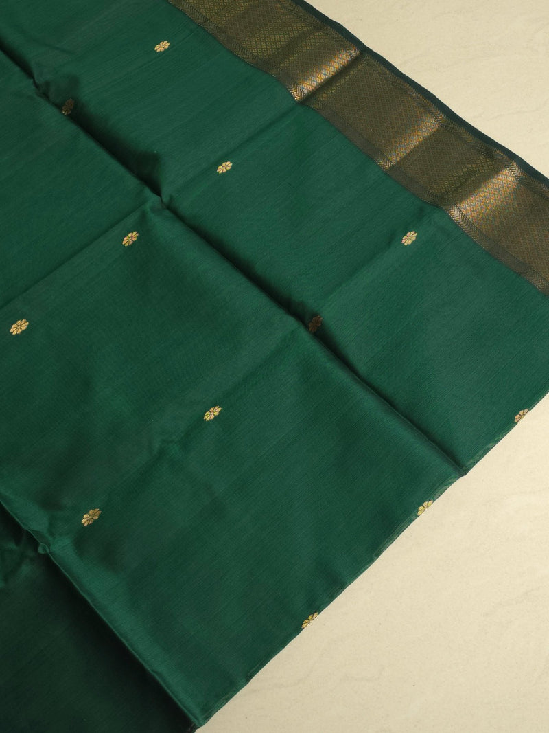 Navika - Pure Silk Cotton Saree