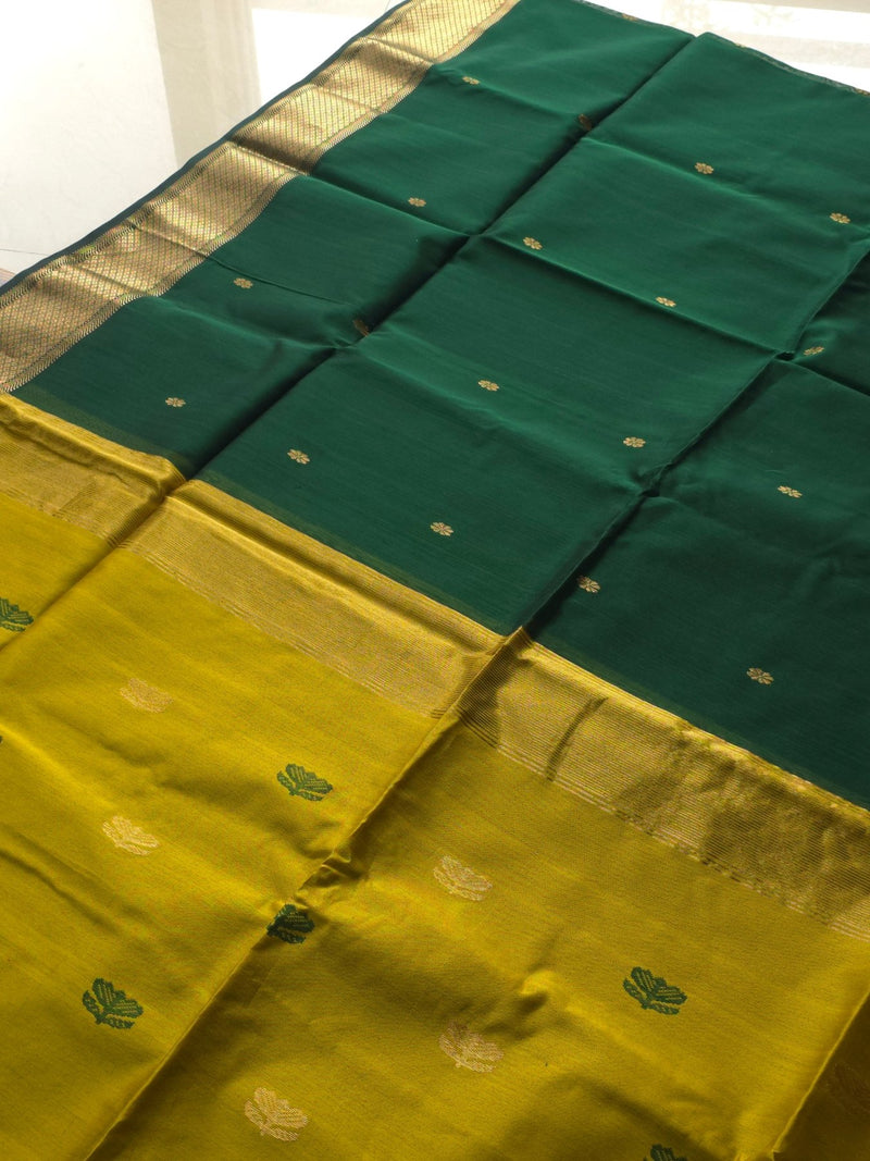 Navika - Pure Silk Cotton Saree