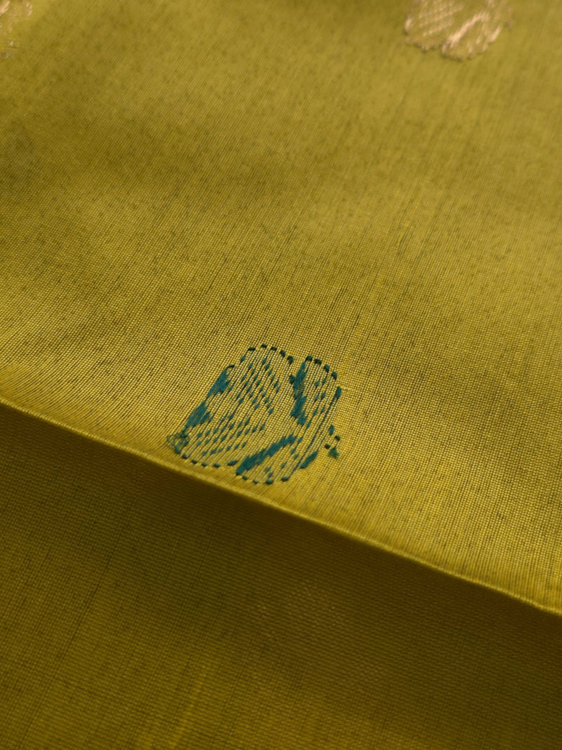 Navika - Pure Silk Cotton Saree