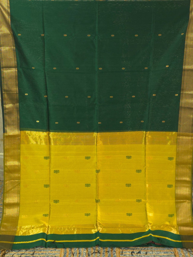Navika - Pure Silk Cotton Saree