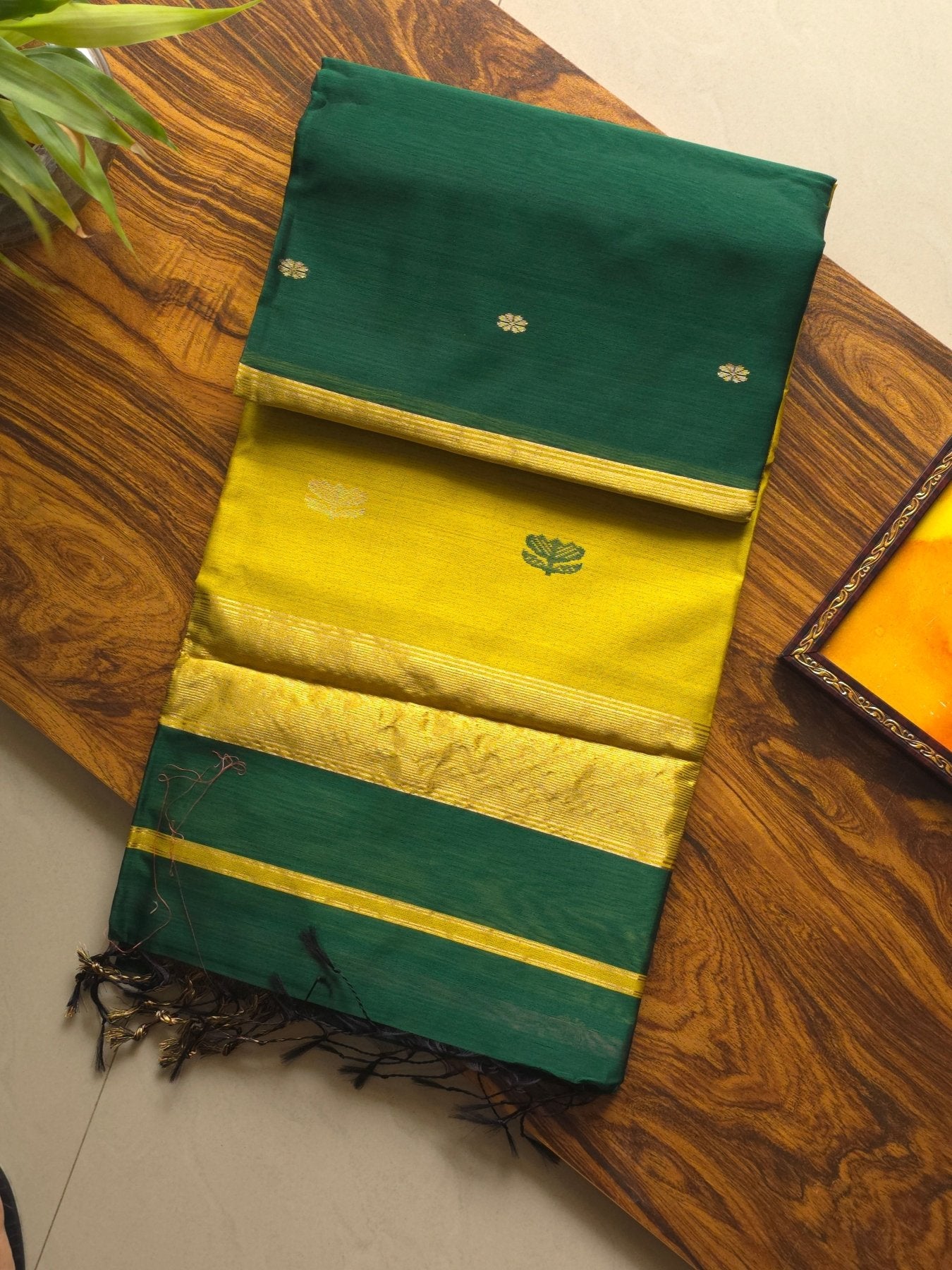 Navika - Pure Silk Cotton Saree