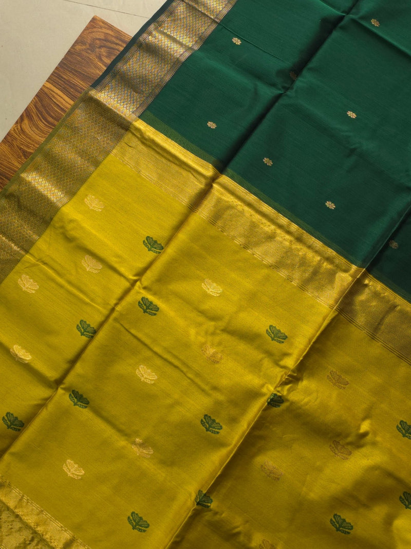Navika - Pure Silk Cotton Saree