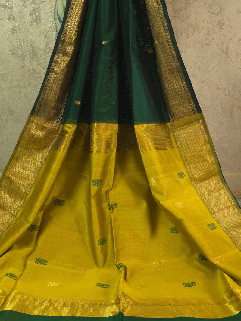 Navika - Pure Silk Cotton Saree