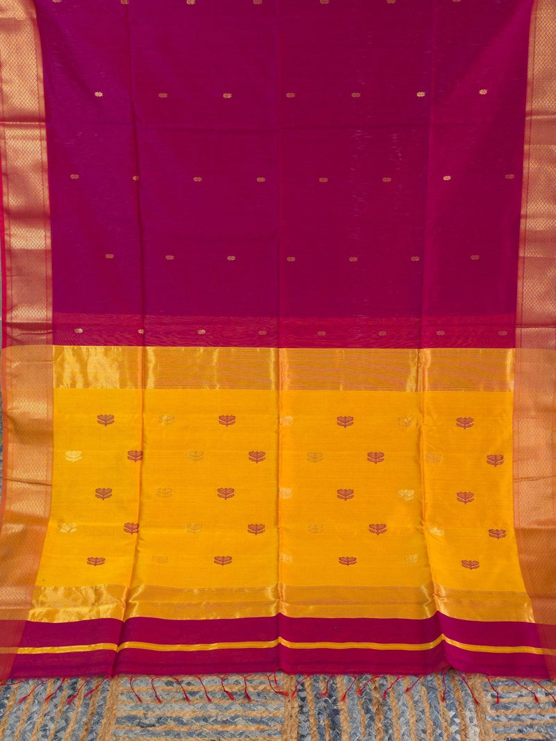 Navya - Pure Silk Cotton Saree