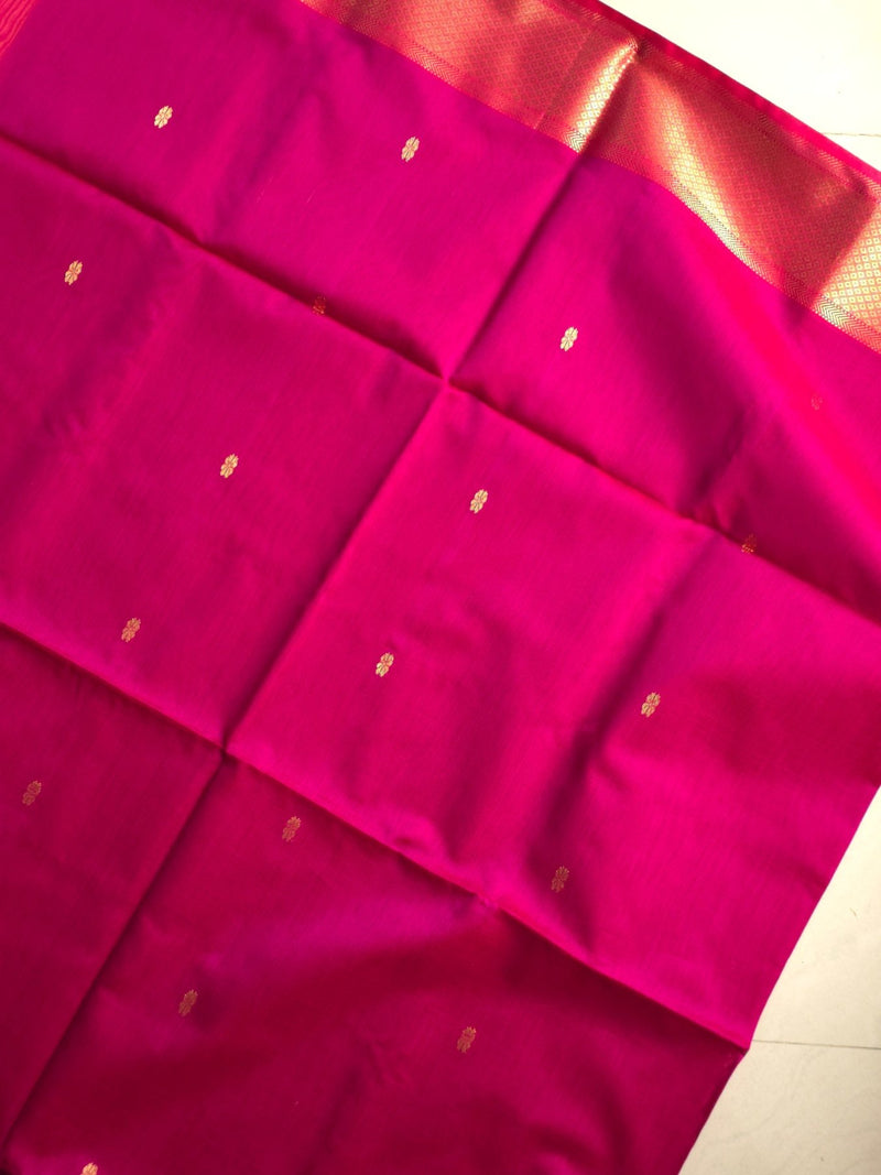 Navya - Pure Silk Cotton Saree