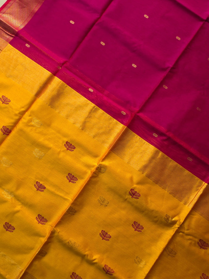 Navya - Pure Silk Cotton Saree