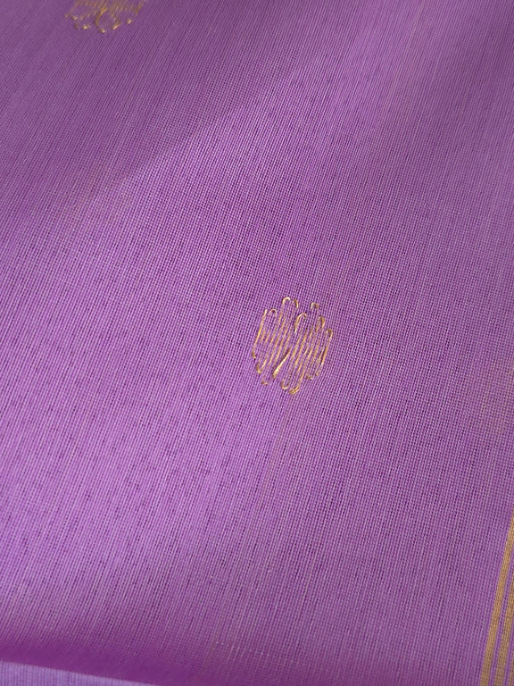 Neelima - Pure Silk Cotton Saree - Oagh India