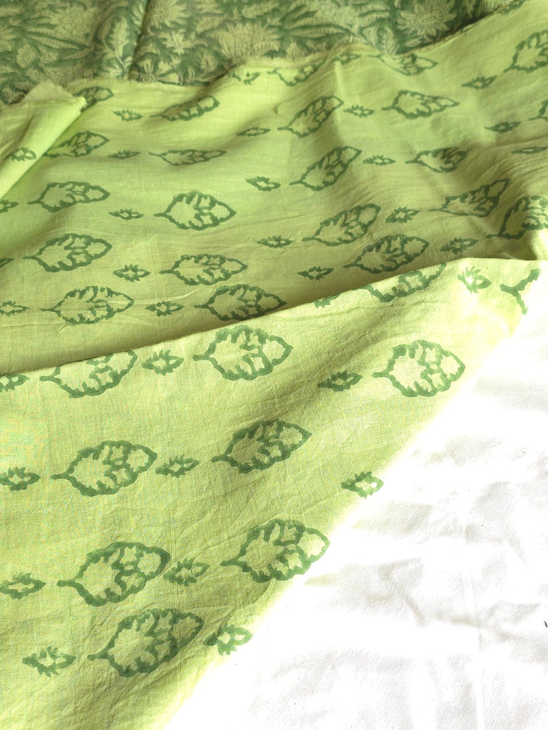 Prakriti : Bagru Handblocked Pure Cotton Saree