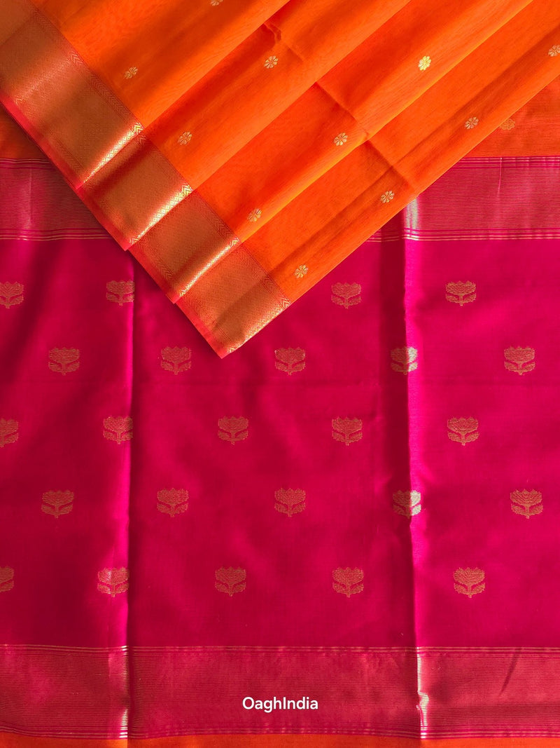 Preetilekha - Pure Silk Cotton Saree