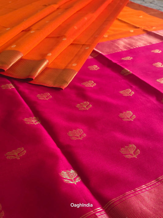 Preetilekha - Pure Silk Cotton Saree