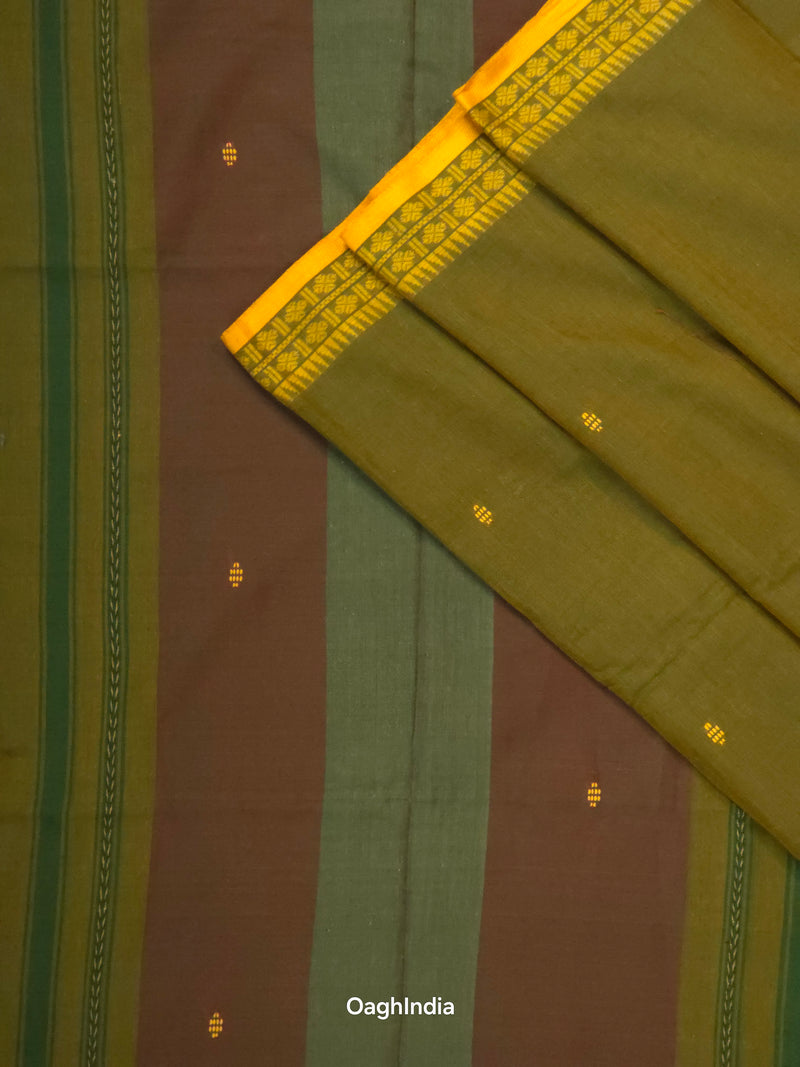 Primi : Pure Cotton Handloom Saree
