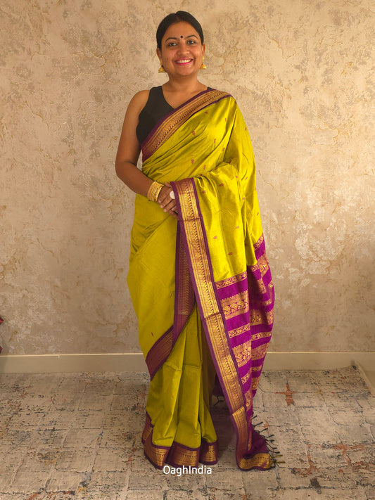 Utsav : Festive Cotton Silk Contrast Saree with Zari Border(Lime Green,Purple)