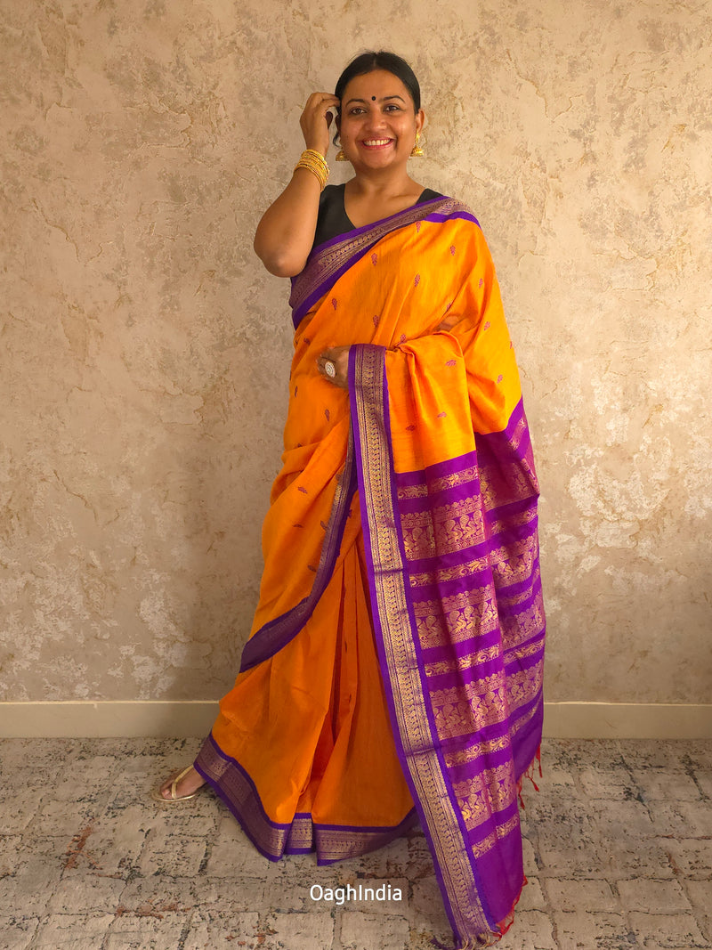 Utsav : Festive Cotton Silk Contrast Saree with Zari Border(Orange,Purple)