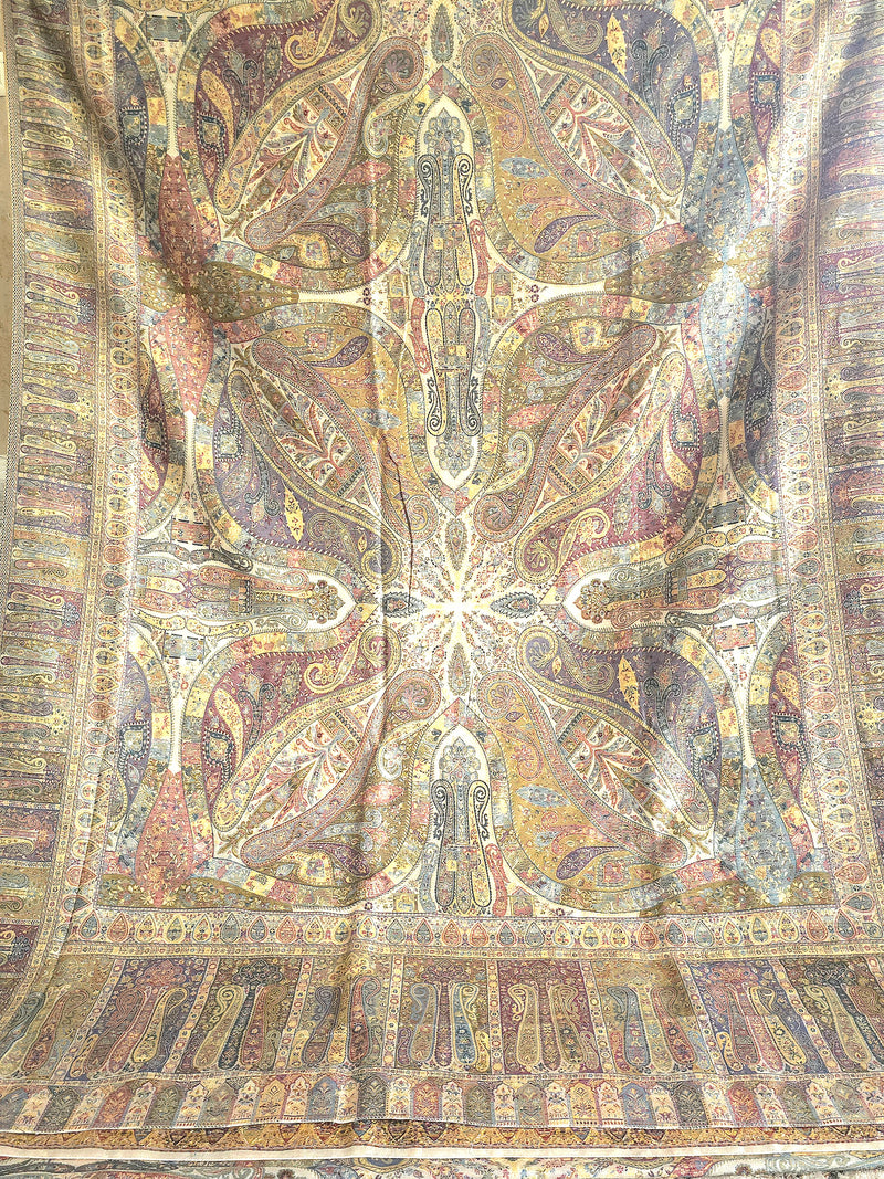 Kong Posh (Pristine): Kashmiri Heritage Saree