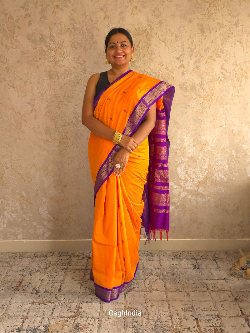 Utsav : Festive Cotton Silk Contrast Saree with Zari Border(Orange,Purple)