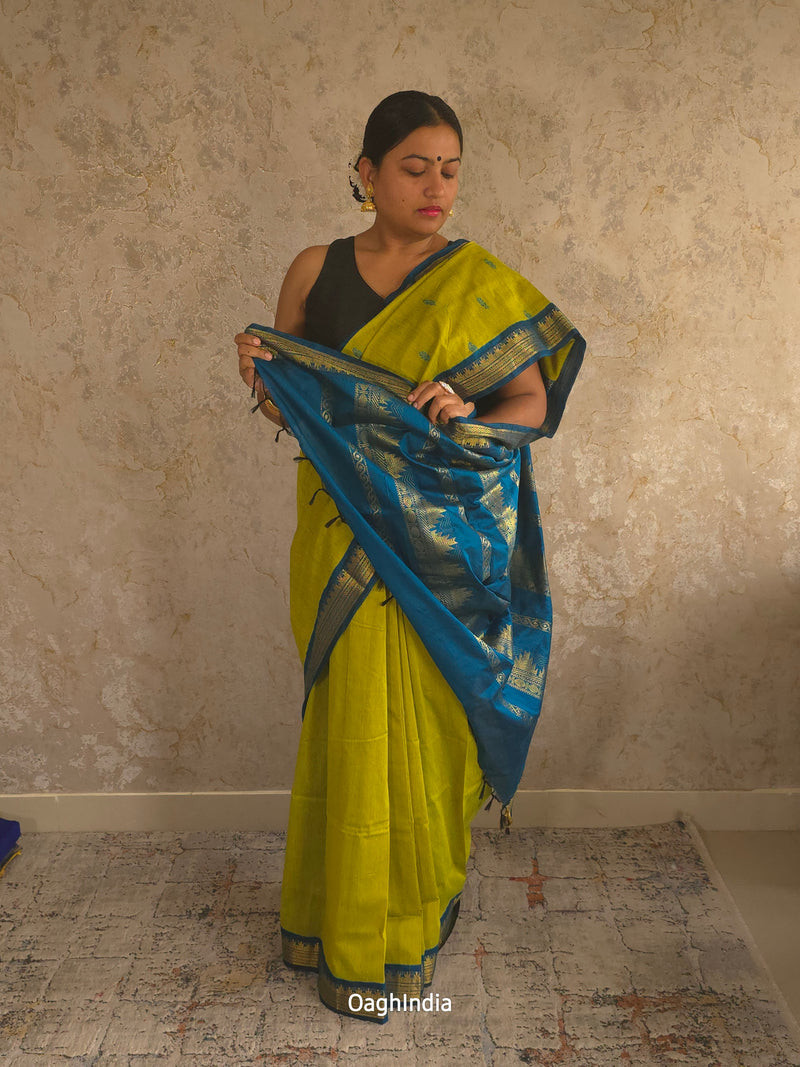 Utsav : Festive Cotton Silk Contrast Saree with Zari Border(Lime Green, Blue)