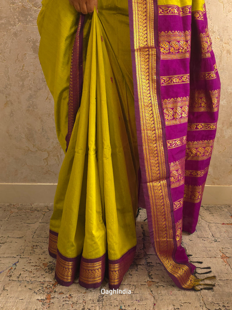 Utsav : Festive Cotton Silk Contrast Saree with Zari Border(Lime Green,Purple)