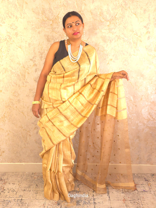 Resham : Royal Pure Matka Silk Handloom Saree With Silkmark(Tussur Biege)