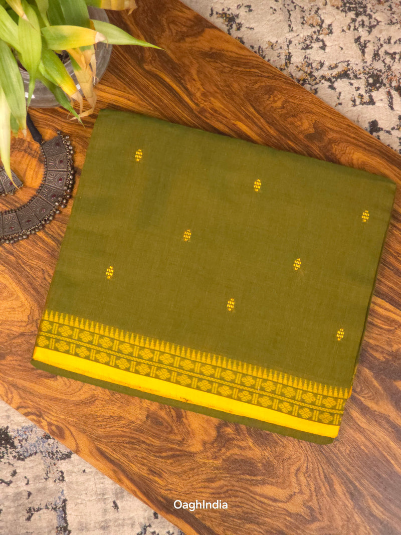 Primi : Pure Cotton Handloom Saree