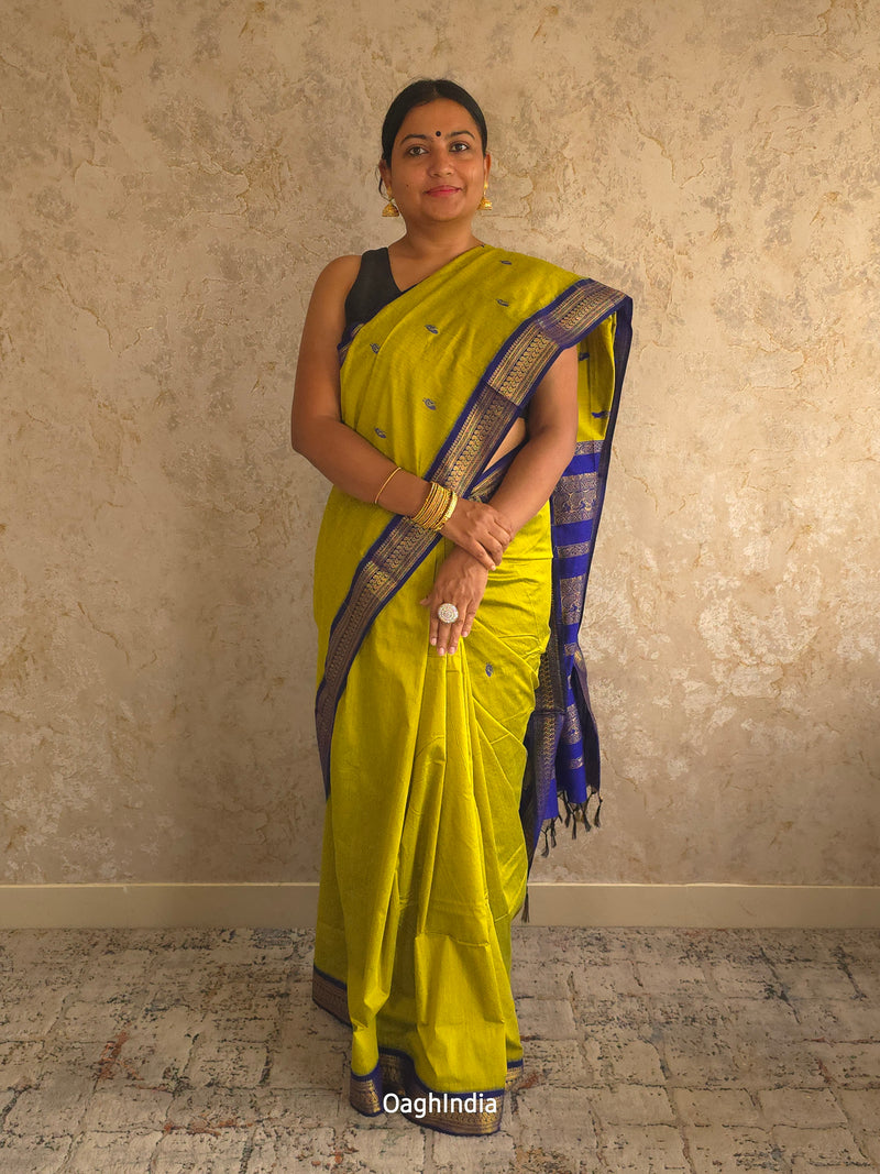 Utsav : Festive Cotton Silk Contrast Saree with Zari Border(Lime Green,Blue)