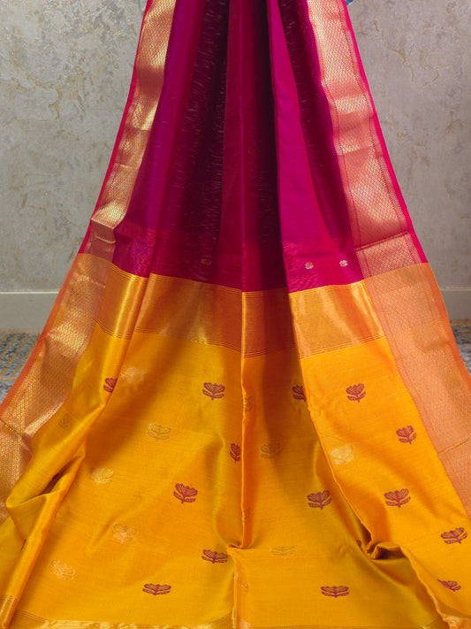 Tarangini - Pure Silk Cotton Saree