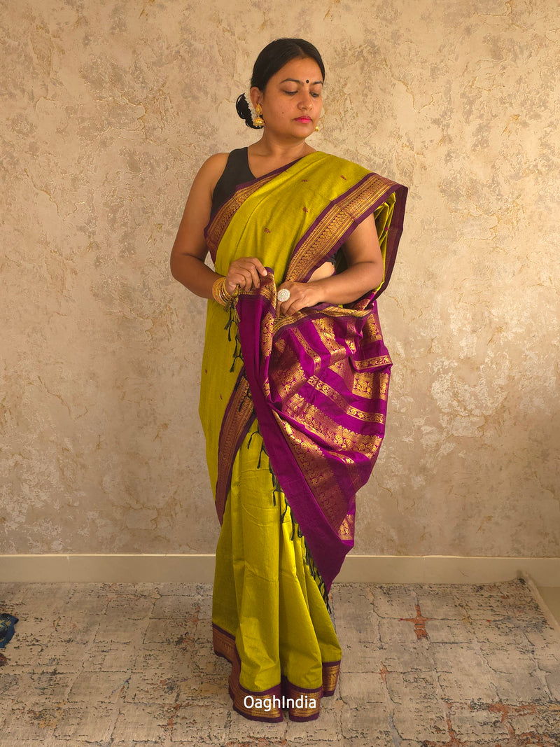 Utsav : Festive Cotton Silk Contrast Saree with Zari Border(Lime Green,Purple)