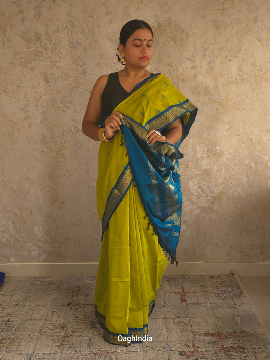 Utsav : Festive Cotton Silk Contrast Saree with Zari Border(Lime Green, Blue)