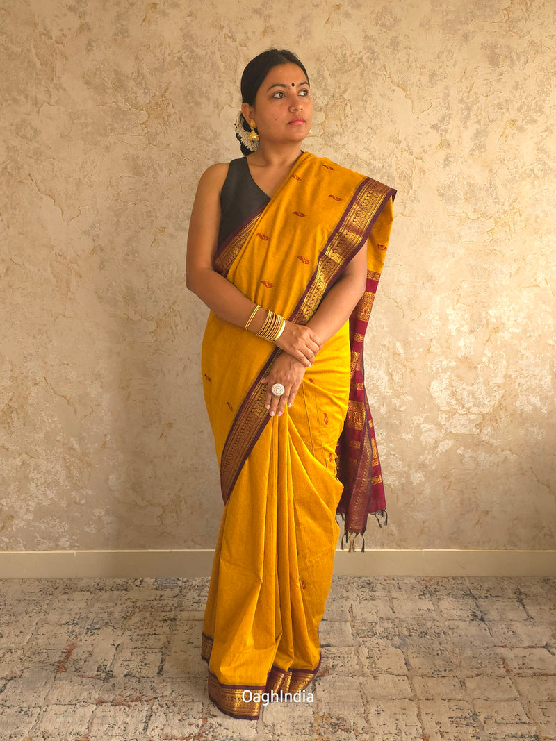 Utsav : Festive Cotton Silk Contrast Saree with Zari Border(Musturd, Brown)