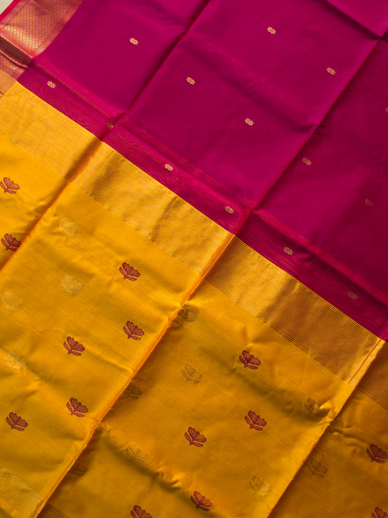 Navya - Pure Silk Cotton Saree