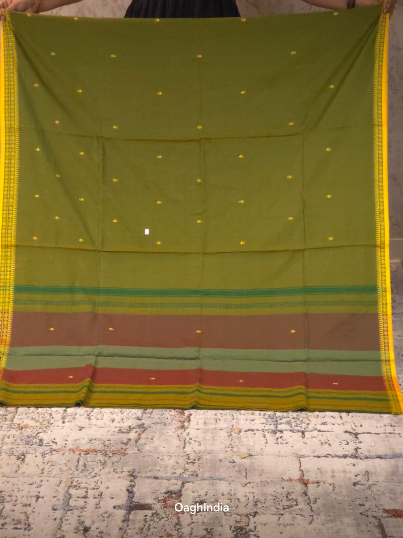 Primi : Pure Cotton Handloom Saree