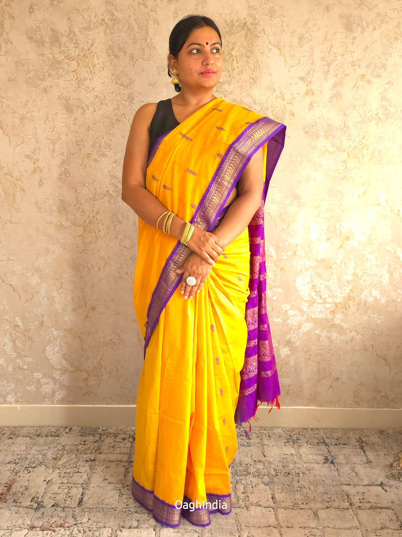 Utsav : Festive Cotton Silk Contrast Saree with Zari Border(Yellow, Purple)