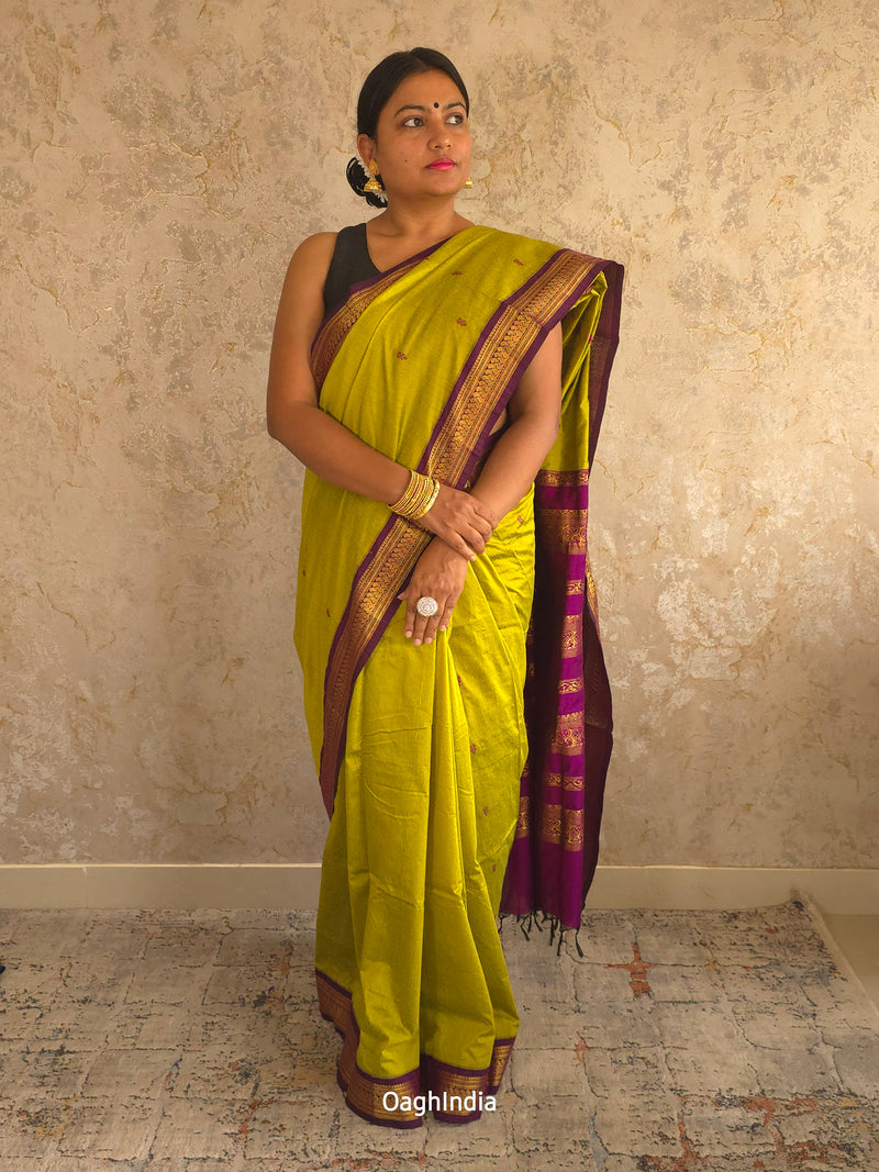 Utsav : Festive Cotton Silk Contrast Saree with Zari Border(Lime Green,Purple)