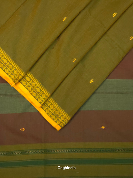 Primi : Pure Cotton Handloom Saree