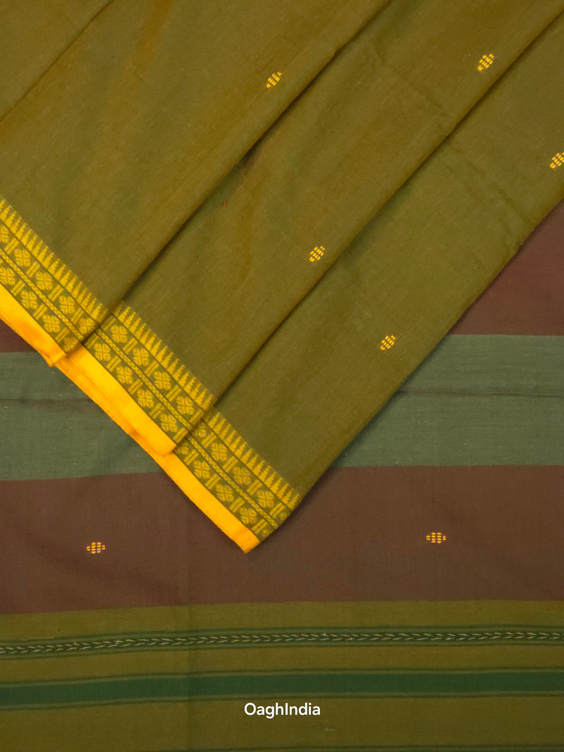 Primi : Pure Cotton Handloom Saree
