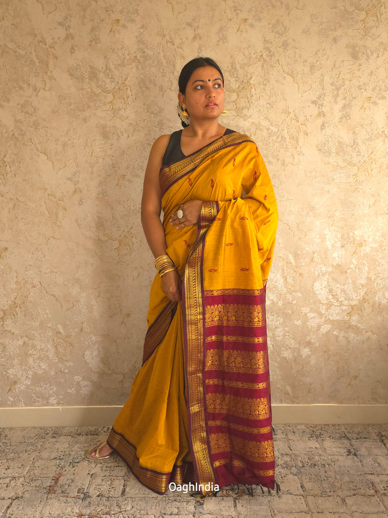 Utsav : Festive Cotton Silk Contrast Saree with Zari Border(Musturd, Brown)