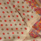 Shahzadi : Authentic Kashmiri Saree