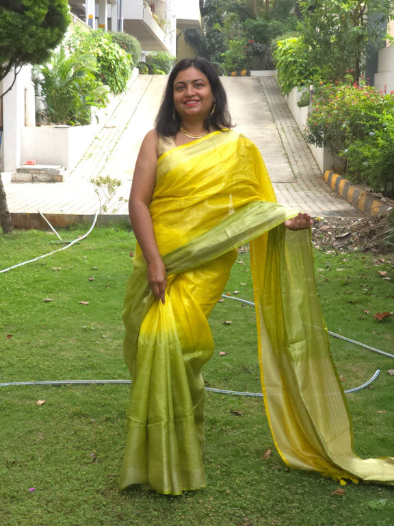 Vrittika - Authentic Bhagalpur Linen Saree - Oagh India
